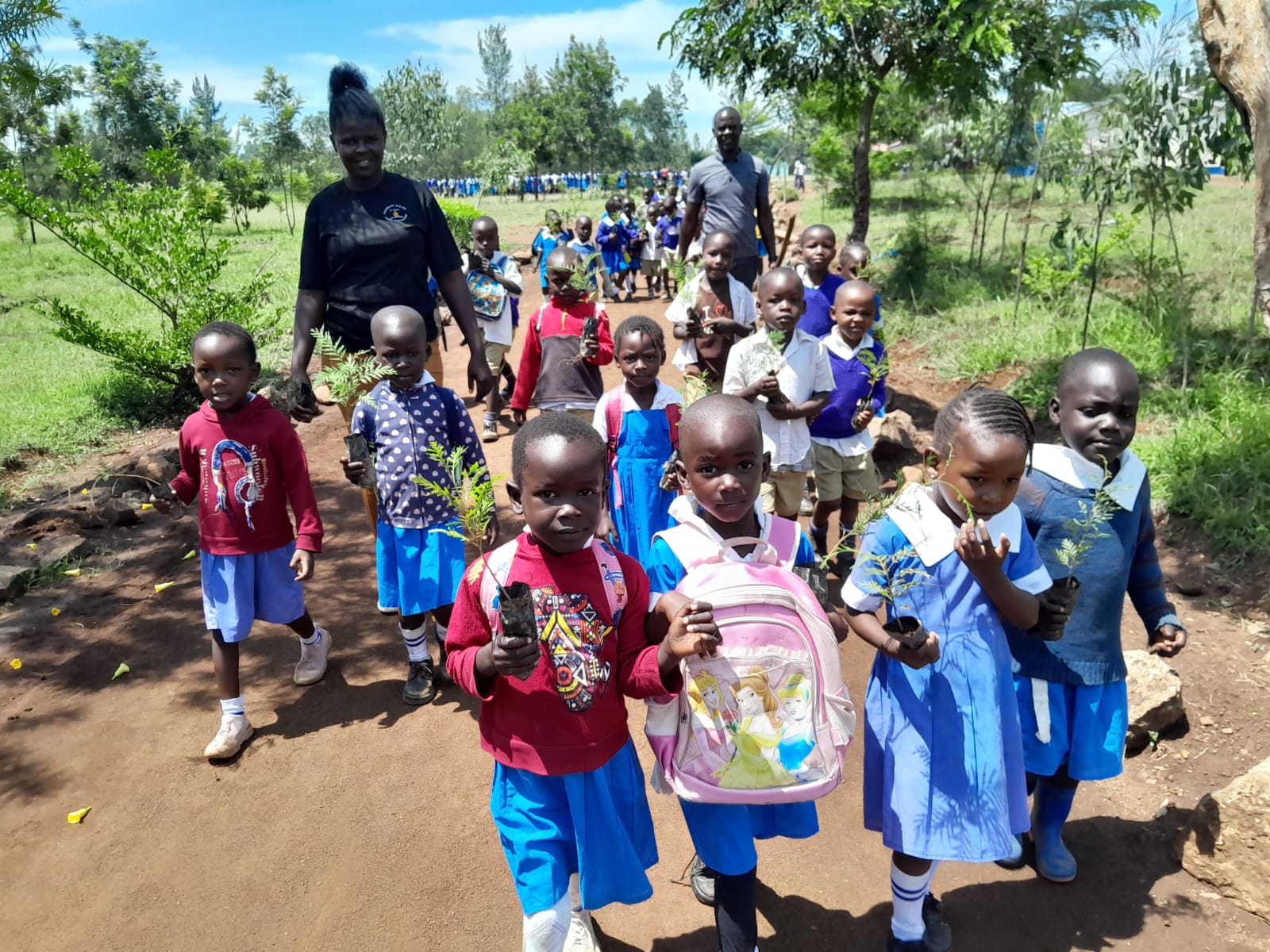 Tree Planting in Kisumu KDE